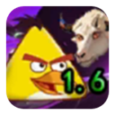 我的鸟随机版下载安装