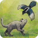 米洛和喜鹊官方版