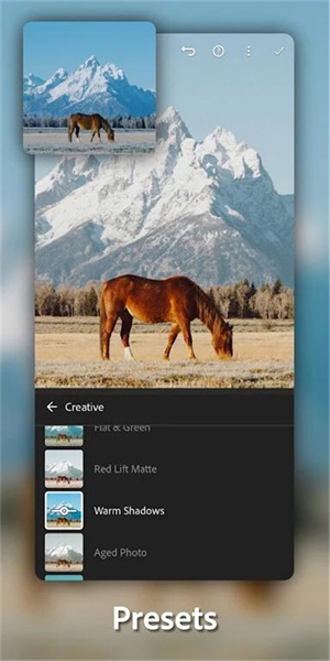lightroom解锁版 第2张图片