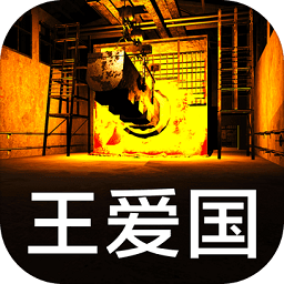 孙美琪疑案王爱国手机版