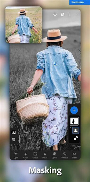 lightroom解锁版 第1张图片