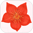 爱我崇左app官方最新版