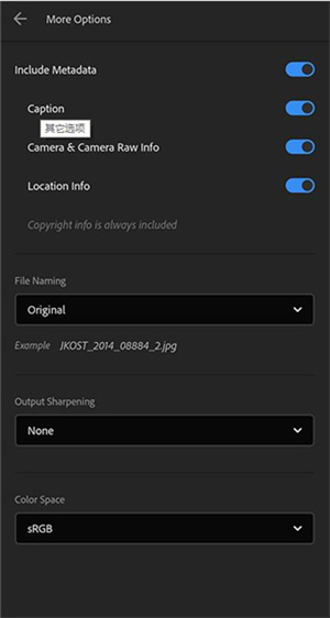 Lightroom解锁版怎么导出图片2