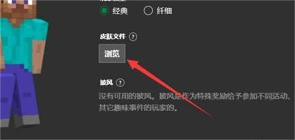 皮肤导入游戏教程截图4