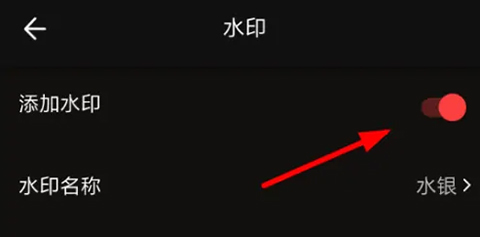 怎么去水印截图3