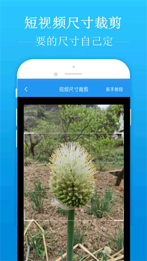 去水印吧APP最新版本 第2张图片