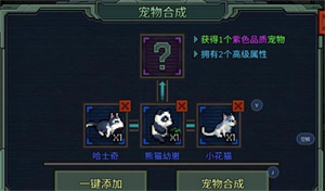 宠物合成技巧介绍2