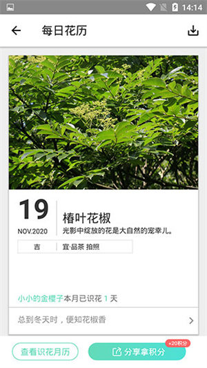 形色植物识别app最新版怎么使用