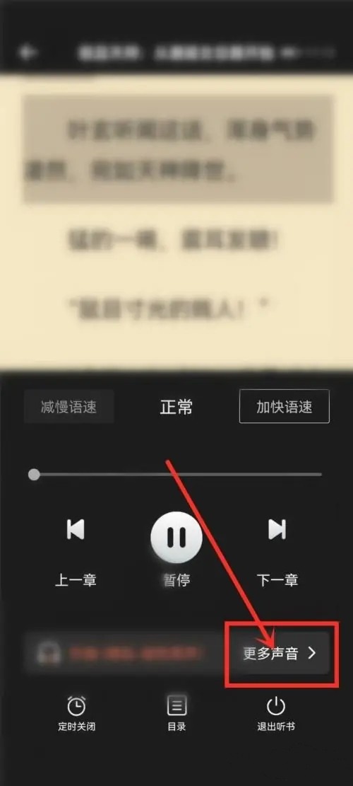 更换语音教程截图2