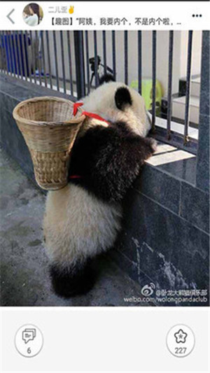 柚次元破解去广告版下载截图4