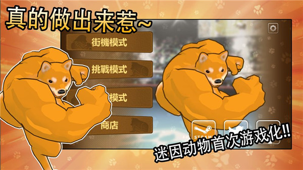 动物之斗内置作弊菜单破解版 第2张图片