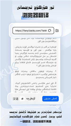 国语助手维汉翻译官方免费版下载截图8