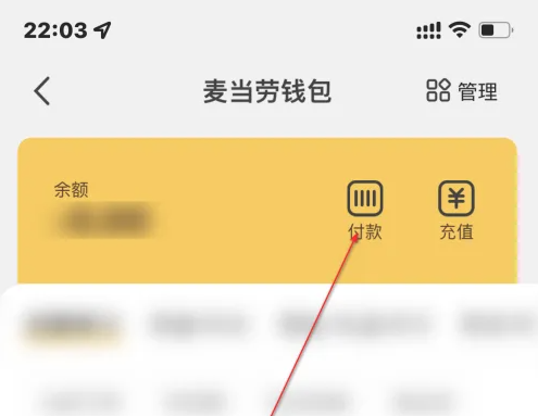 用余额支付教程截图3