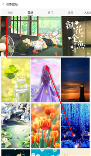 安卓壁纸APP使用教程2