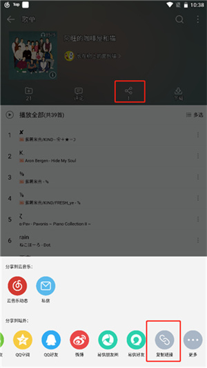 五音助手app最新版本怎么导入网易云歌单截图4