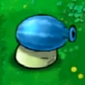 冰瓜大喷菇