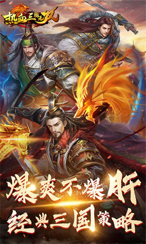 热血三国无双内置版 第1张图片