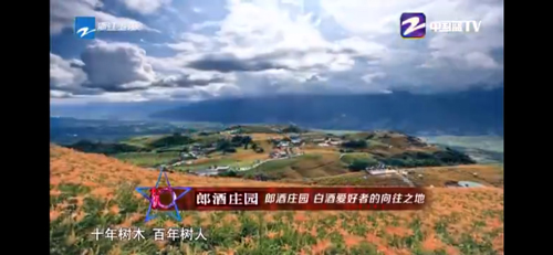 怎么投屏电视？1