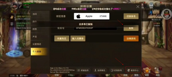 礼包兑换码使用教程截图3
