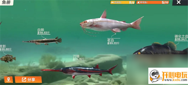 欢乐钓鱼大师图鉴最后一条鱼截图1