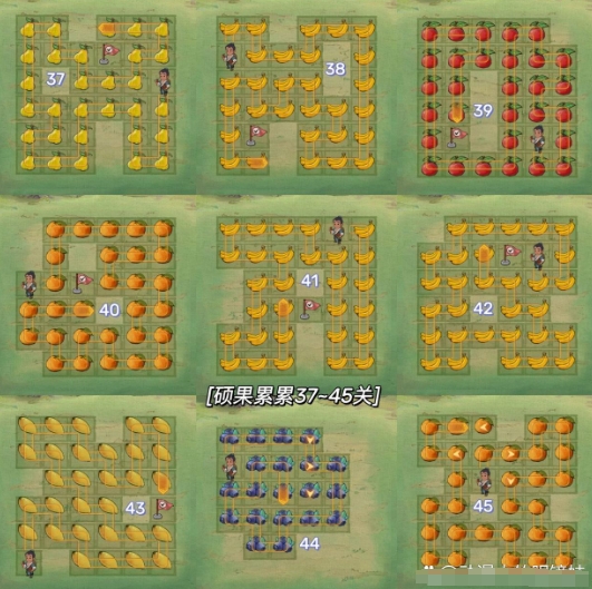 硕果累累1-50关攻略5
