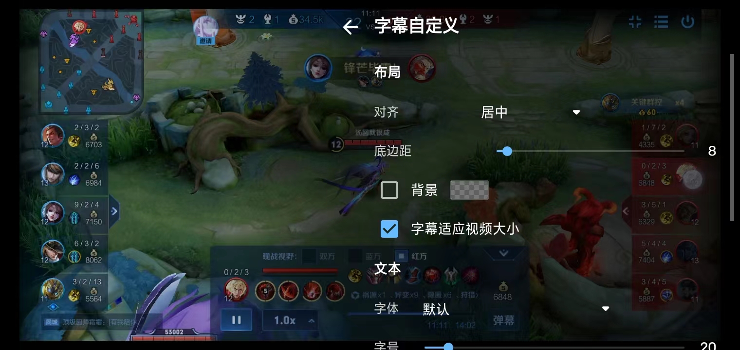 如何自定义字幕截图3