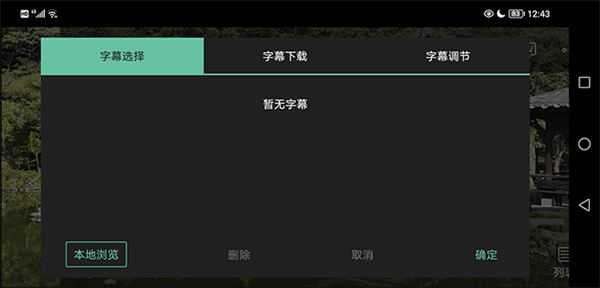 载入字幕教程截图4