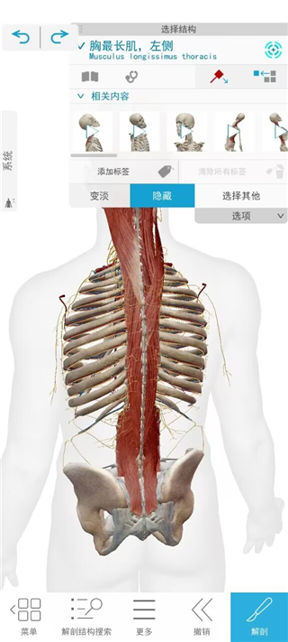 使用说明截图5