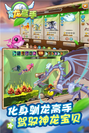 育龙高手官方版截图2