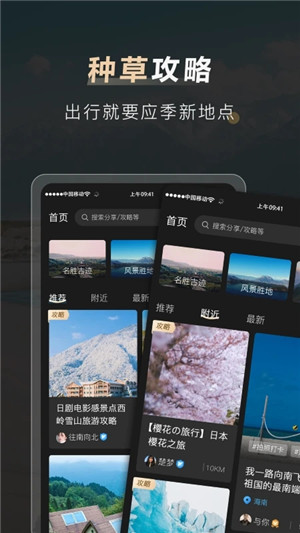 他陪旅行app下载截图2