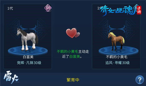 倩女幽魂马匹怎么获得6