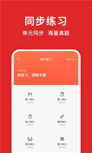 题拍拍拍照搜答案免费版下载截图4