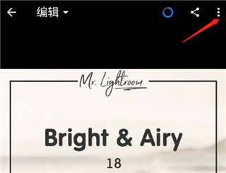 LR手机版怎么预设保存DNG格式文件8