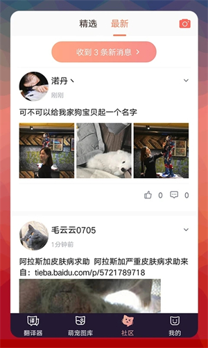 猫语翻译器正版软件功能截图
