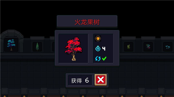火龙果树