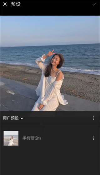 LR手机版怎么预设保存DNG格式文件11