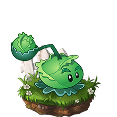 植物介绍截图5