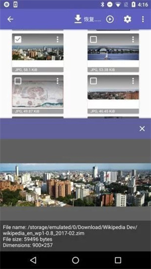 Diskdiggerpro照片恢复免费版下载截图3