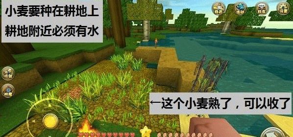 新手攻略大全截图7