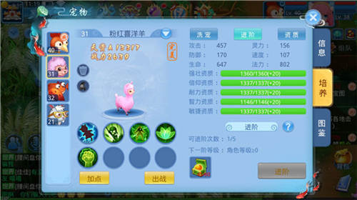 宠物培养攻略截图5