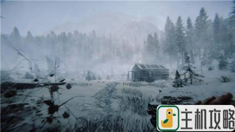 生存恐怖游戏《森林之子》发布新预告 确定明年发售插图1