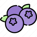 蓝莓音乐app最新版