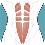 跟我练腹肌app