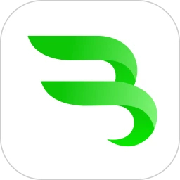 斑斑驾道定制版