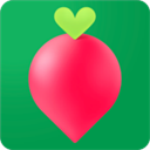 叮咚买菜配送员app