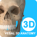 维萨里3D解剖VIP破解版