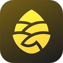 松果出行app
