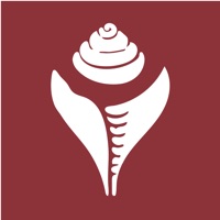 东噶大辞典app