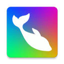 Flow Photo破解版