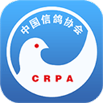 中国信鸽协会app